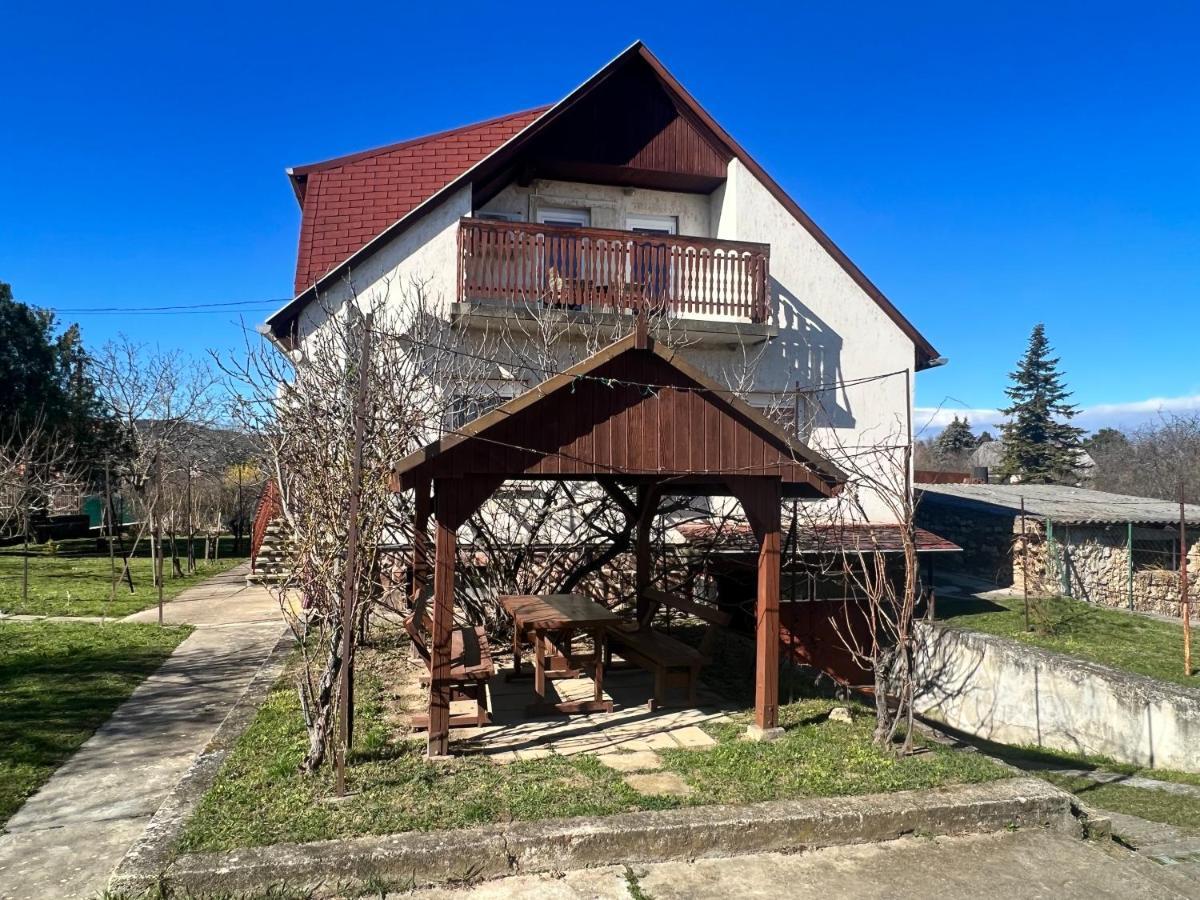 A Festo Vendeghaza / The Painter'S Guest House Zanka Exterior photo